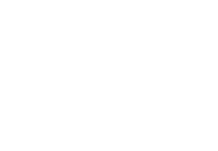 Desafio Arara de Lear - logo arara
